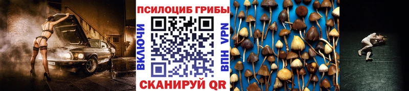 Галлюциногенные грибы Psilocybine cubensis купить наркоту Казань